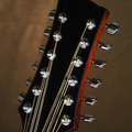 12 String Guitars