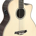 Acoustic Bass Guitars