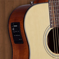 Acoustic - Electric Guitars