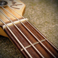 Bass Strings