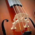 Cello Strings