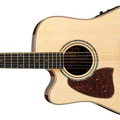 Left Hand Guitars