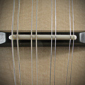 Mandolin Strings
