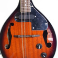 Mandolin