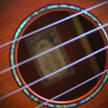 Ukulele Strings