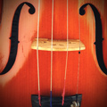 Violin Strings