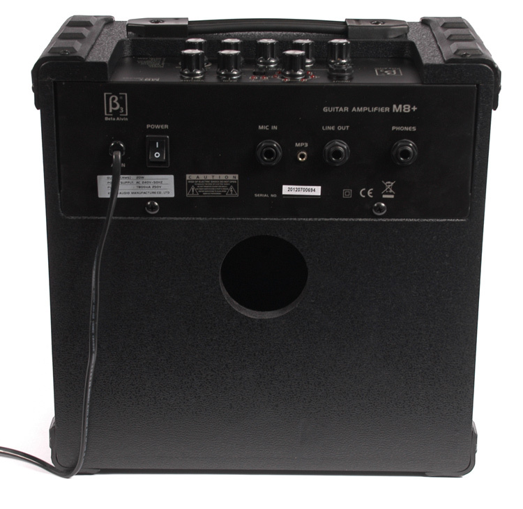 Singer Songwriter Mic and Amp Package 20W Amplifier SWAMP