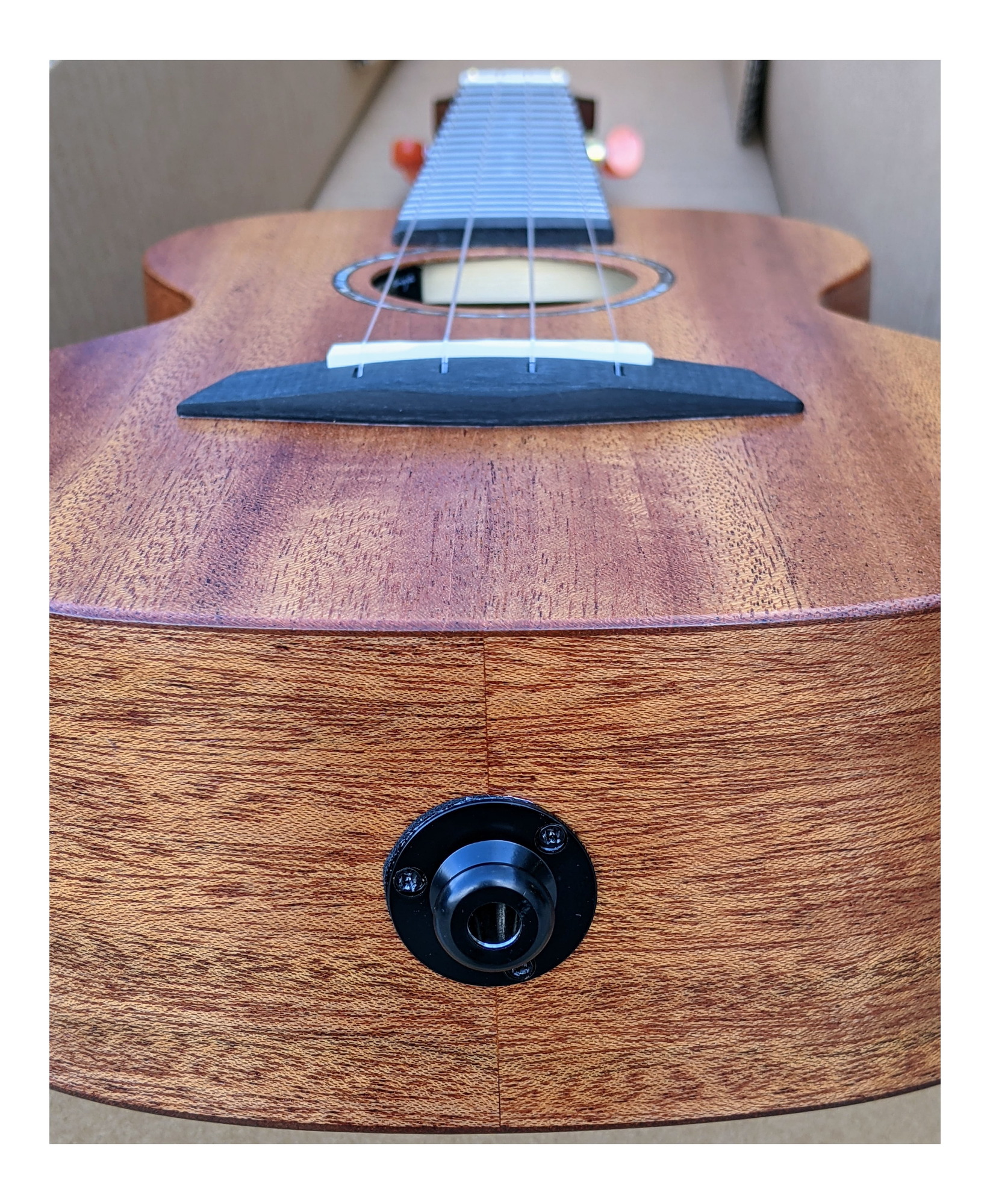 Enya MS Solid Mahogany Ukulele with Premium Gig Bag Richlite
