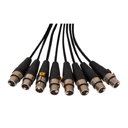 SWAMP 8-way DB-25 to XLR(f) Cable TASCAM wiring - 6m