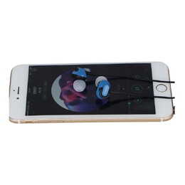 Alctron AE06 In-Ear Music Headphones