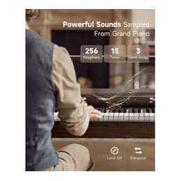 Donner OURA R300 88-Key Weighted Keyboard Piano - Walnut Wood