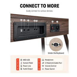 Donner DDP-80 88-Key Digital Piano - Walnut Wood