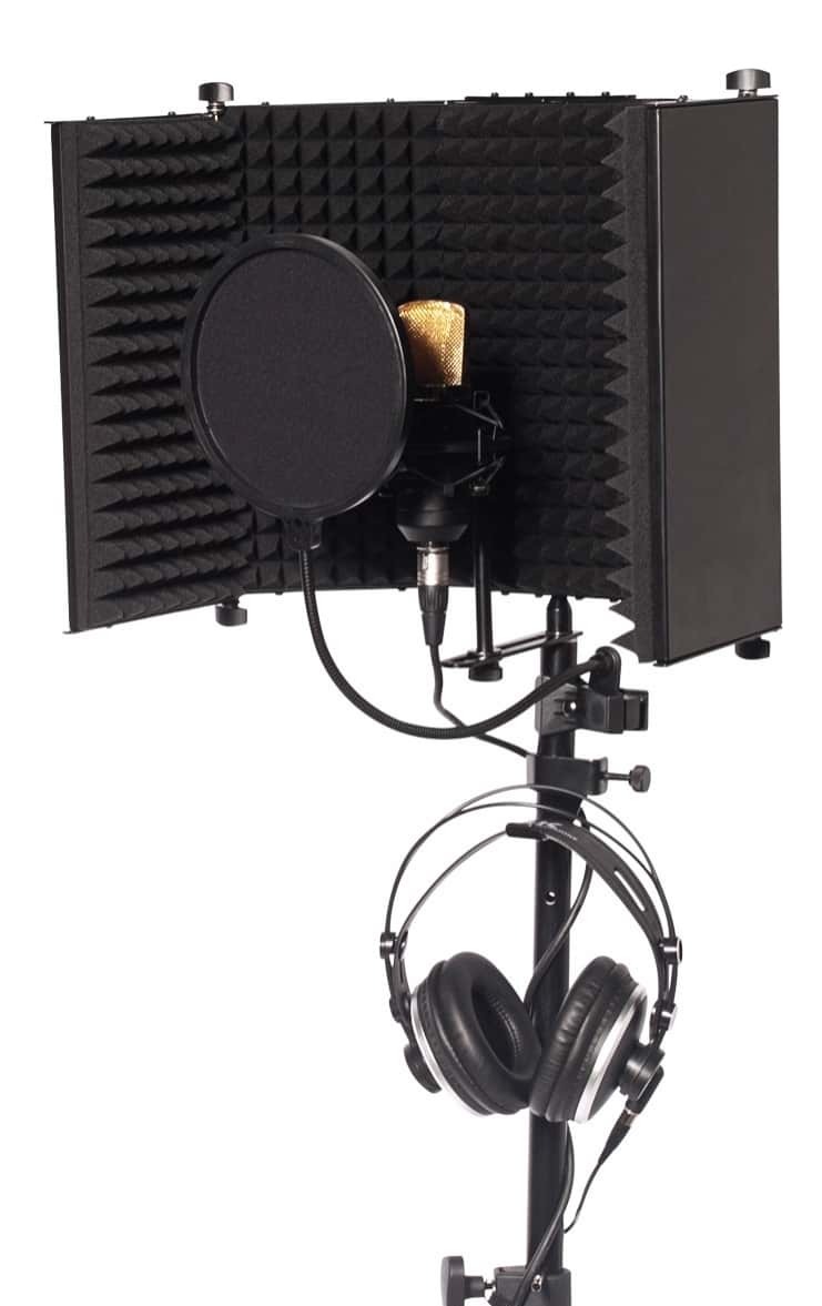 best mic to record vocals at home