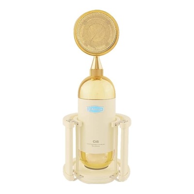 Alctron CX5 Large Diaphragm FET Condenser Microphone