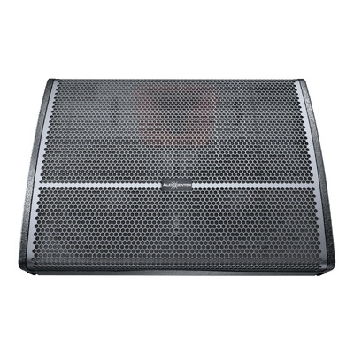 Audiocenter WM210-DSP Active DSP Controlled 2 x 10" Foldback Speaker