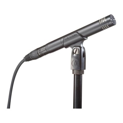 Audio-Technica AT2031 Cardioid Small Diaphragm Instrument Condenser Microphone