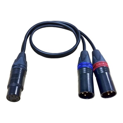 Cable Techniques CT-PYF-18 5-pin XLR Female to Two 3-pin XLR Male Stereo Y Cable