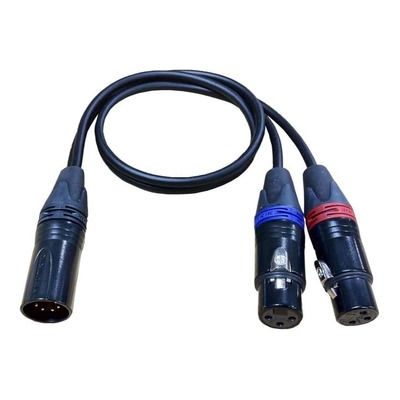 Cable Techniques CT-PYM-18 5-pin XLR Male to Dual 3-pin XLR Female Stereo Y Cable
