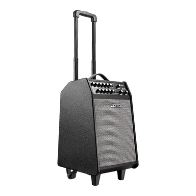 JOYO JPA866 Portable PA Amplifier with 2 Handheld Wireless Microphones