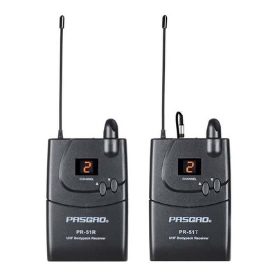Pasgao PV70 Portable Wireless Audio System