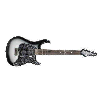 Peavey Raptor Custom Series Electric Guitar - Silverburst